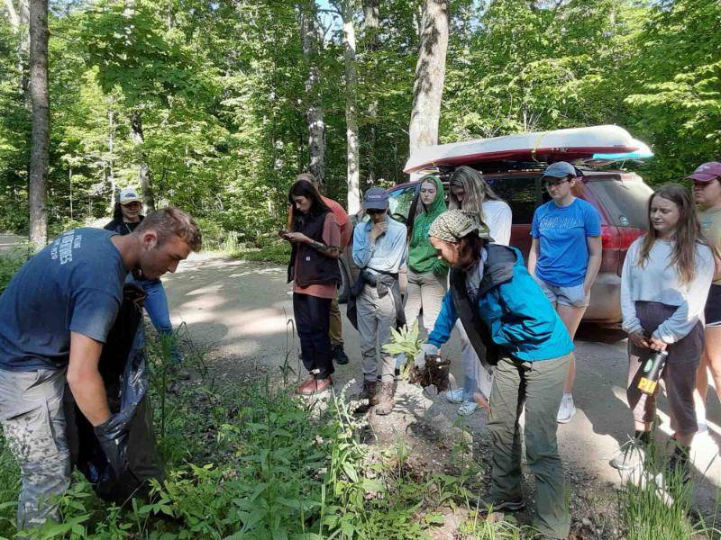 Students immersing themselves in ecology of Beaver Island